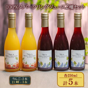yӂ邳Ɣ[Łz100%Xp[NOW[X2Zbgi×2{A×3{je250ml v5{ Xg[g Y_ mAR[