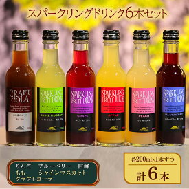 【ふるさと納税】スパークリングドリンク6本セット（りんご、ブルーベリー、巨峰、もも、シャインマスカット、クラフトコーラ）各200m×1本ずつ 計6本 信州産フルーツ 炭酸飲料 ノンアルコール 化粧箱入り ギフト 贈り物 贈答
