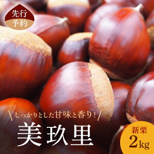 yӂ邳Ɣ[Łzs\ H̖oIVI2kg(藢)s I 񂹁@͂F2025N10{`10{܂