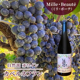 【ふるさと納税】Mille・Beauté（ミリ・ボーテ）カベルネフラン 無濾過 赤ワイン