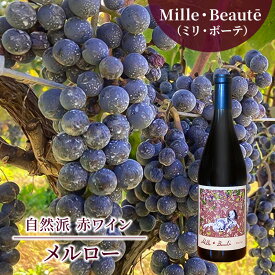 【ふるさと納税】Mille・Beauté（ミリ・ボーテ）メルロー 無濾過 赤ワイン