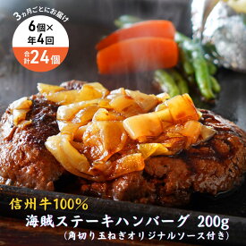 【ふるさと納税】【4回 定期便 ／3ヵ月ごとにお届け】 海賊ステーキハンバーグ 200g×6個 ハンバーグ ソース付き 信州牛100% 長野 信州 小諸 繋ぎなし 冷凍 個包装