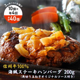【ふるさと納税】【4回 定期便 ／3ヵ月ごとにお届け】 海賊ステーキハンバーグ 200g×10個 ハンバーグ ソース付き 信州牛100% 長野 信州 小諸 繋ぎなし 冷凍 個包装