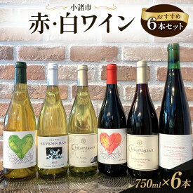 【ふるさと納税】信州小諸産 赤・白ワイン おすすめ6本セット　小諸市ワイン 飲み比べ お酒 ミネラル感 果実味 酸 甘い香り 柔らかなタンニン フレッシュ 家飲み 晩酌
