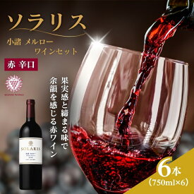 【ふるさと納税】日本ワイン ソラリス 小諸 メルロー ワインセット 750ml×6本 赤ワイン マンズワイン 酒 お酒 洋酒 果実酒 ぶどう酒 長野 長野県 小諸市