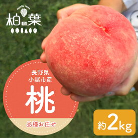 【ふるさと納税】【2026年発送先行予約】　長野県小諸市産桃　約2kg（6～9玉） ギフト用　【Famili farm 柏の葉】　お届け：7月中旬～8月下旬