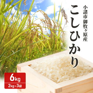 �y�ӂ邳�Ɣ[�Łz�����s ��q�����Y�����Ђ��� �@6kg�i2kg×3�܁j���� �M�B �R�V�q�J�� ���� ������������ ������ ������ ���ā@���͂��F��t�����m�F��A1�����ȓ��ɔ����v���܂��B