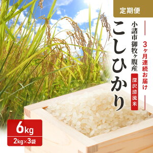 �y�ӂ邳�Ɣ[�Łz�y3��������� �z �����s ��q�����Y�����Ђ��� 6kg×3�����@�v18kg ���� �M�B �R�V�q�J�� ���� ������������ ������ ������ ���ā@���͂��F��t�����m�F��A1�����ȓ���