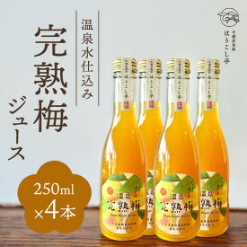 【ふるさと納税】梅ジュース　250ml×4本　中棚温泉　長野　信州　小諸