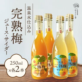 【ふるさと納税】梅ジュース＆梅サイダー　250ml×各種2本　中棚温泉　長野　信州　小諸