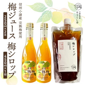 【ふるさと納税】梅ジュース250ml×2本＆梅シロップ450ml×1個　中棚温泉　長野　信州　小諸