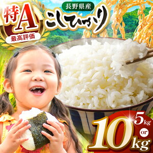 �y�ӂ邳�Ɣ[�Łz �� 5kg 10kg �R�V�q�J�� �ߘa7�N�Y JA��ɓ� �R�V�q�J�� ������� ���� ��ɓߎY ���� ���쌧�Y �����Ђ��� 5�L�� 10�L�� �I�ׂ锒�� ���� �M�B�Y ���Y �Y�n���� �������� ���� 