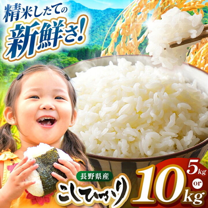 楽天市場】【ふるさと納税】 米 5kg 10kg コシヒカリ 令和7年産 JA 