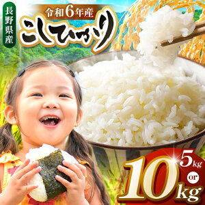 yӂ邳Ɣ[Łz  5kg 10kg RVqJ ߘa6NY JAɓ ߘa6NY RVqJ   ɓߎY  쌧Y Ђ 5L 10L Iׂ锒  MBY Y Yn 