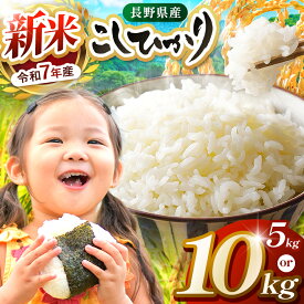 【ふるさと納税】 米 5kg 10kg コシヒカリ 令和7年産 JA上伊那 新米 コシヒカリ 今ずり米 長野 上伊那産 お米 長野県産 こしひかり 5キロ 10キロ 選べる白米 精米 信州産 特産 産地直送 おすすめ こめ コメ おこめ 送料無料 長野県 伊那市