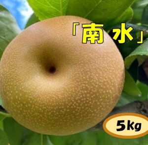 yӂ邳Ɣ[Łzy013-15zyʌzKubIVLIW[IƊÂ쐅i@쐅@5Lj2025NH@쌧@ɓߎs@쐅@5L@5kg