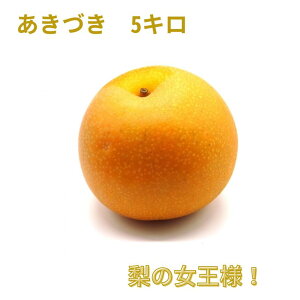 yӂ邳Ɣ[Łzyʌzu₩ȍƊÂ݁ȀlIi@Â@5Ljy013-16zbt[c ʕ Â 5L 쌧 MB