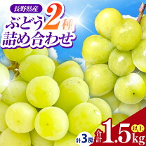 楽天市場】シャインマスカット 雄宝の通販