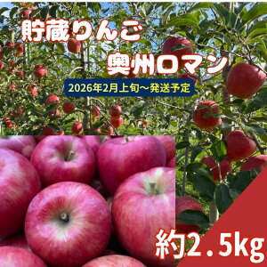 yӂ邳Ɣ[Łz MB  VL VL  B} 2.5kg X}[gtbV 2026N2{`\b ь t[c ʕ B}  쌧 MB