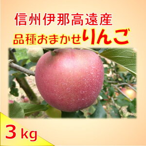 yӂ邳Ɣ[ŁzMBY ƒp  3kg i킨܂ | S Vimbv Vimh`F VimXC[g Hf VimS[h ܖ tW t[c ʕ 