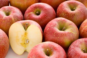 yӂ邳Ɣ[ŁzIׂ Tӂ@󂠂胊S@5kg or 10kgy010-a9zb Tӂ Â 󂠂i  t[c ɓ ɓߎY 쌧 ӂ邳Ɣ[