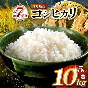 �y�ӂ邳�Ɣ[�Łz�y�I�ׂ�z�ߘa7�N�x�@�ɓߎs�c���Y�ā@�R�V�q�J���@5�L�� or 10�L�� �y014-50�z�y027-17�z�b �� �R�V�q�J�� �c���Y ���� �ɓ� �ɓߎY ���쌧 �ӂ邳�Ɣ[��