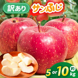 【ふるさと納税】選べる サンふじ　訳ありリンゴ　5kg or 10kg【010-a9】｜りんご サンふじ 甘い 訳あり品 美味しい フルーツ 伊那 伊那産 長野県 ふるさと納税