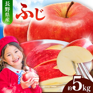 �y�ӂ邳�Ɣ[�Łz��s�\�� �ߘa8�N�Y �L�@�엿�͔| ��� �ӂ�5kg �y009-42�z�b���쌧 �ɓߎs �M�B �l�C �������� ��� �ь� �t���[�c �ʕ� �H �ӂ� �_��