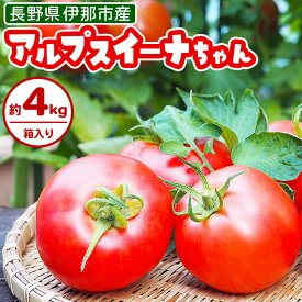 【ふるさと納税】アルプスイーナちゃん トマト（4キロ箱入り）【010-07】｜伊那市 収穫 美味しい トマト 甘さ 酸味 バランス 濃厚 味 おいしい 空気 ふるさと納税