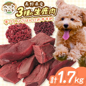 yӂ邳Ɣ[ŁzuYEFv AvXY ybgp Zbg | ybgt[h ybgp    ؂藎Ƃ ~` WrG Zbg Y F 쌧 ɓߎs MB 