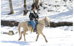 yӂ邳Ɣ[ŁzRŏňiñuVƏnłނUj1lłlł\y055-12zb쌧 ɓߎs MB n n ň ̌ U ӂ邳Ɣ[