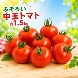 【ふるさと納税】 トマト 中玉トマト ふぞろい中玉トマト約1.5kg 七久里農園 | トマト 訳あり 野菜 やさい 新鮮 健康 美容 長野県 伊那市【009-63】