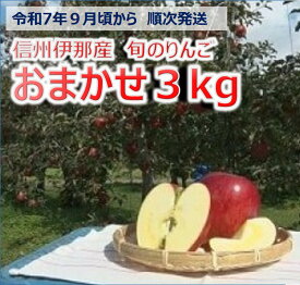【ふるさと納税】【010-19】令和7年9月ごろ～発送　信州の旬のりんごおまかせ3キロ（りんご・リンゴ・林檎）　長野県　伊那市　ふるさと納税　3キロ　3kg　与古美