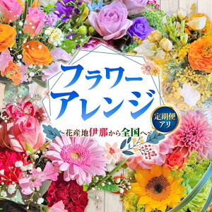 yӂ邳Ɣ[ŁzyIׂցzt[AWiMtgɂjԎYnɓ߂S 1`12bt[AW ɓ  Mtg v[g ͂ ؂₩ lG MB ӂ邳Ɣ[