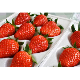 【ふるさと納税】南信州産「いちご」 (300g×4パック)　【伊那森パーク】 果物類 苺 イチゴ 　お届け：2026年1月中旬～3月下旬