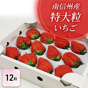 �y�ӂ邳�Ɣ[�Łz�y���I�����p�z��M�B�Y�u���嗱�������v�i12������j�y�M�B������������z �ʕ��� � �C�`�S�@���͂��F2026�N1�����{�`2�����{