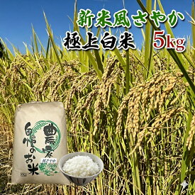 【ふるさと納税】【農家直送】長野県産「風さやか」（5kg）【栄屋ファーム】 お米 　お届け：寄附入金確認後、順次発送