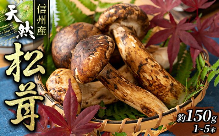 楽天市場】【ふるさと納税】信州産「天然松茸」（約150g/1～6本 