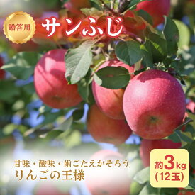 【ふるさと納税】りんご 長野 贈答用 リンゴ サンふじ 約3kg （12玉） 産地直送 ギフト プレゼント 贈答 贈答品 贈り物 フルーツ 果物 デザート サンフジ 秋 旬 信州 長野県 長野県産　お届け：2026年11月上旬～12月下旬