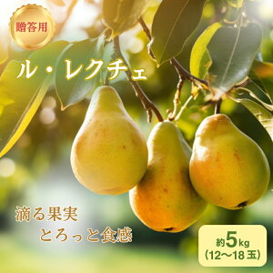 yӂ邳Ɣ[Łzm  p EN`F 5kg i12`18ʁj mȂ Yn Mtg v[g  i 蕨  t[c ʕ fU[g  miV H { 쌧@͂