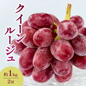 yӂ邳Ɣ[Łzy_ƂĒzNC[[W@1kgi2[jPs t[c  Ԃǂ uhE@͂F2025N9{`11{