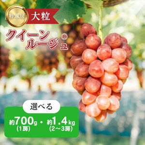 yӂ邳Ɣ[ŁzNC[[W? Ԃǂ I[ Iׂ 700g 1.4kg I 嗱 Ȃ 炲 Yn t[c ʕ fU[g VC}XJbg   H { {̉ʕ {̃t[c 