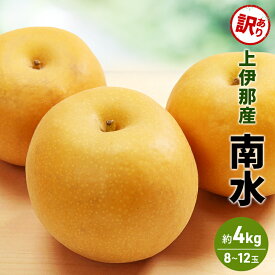 【ふるさと納税】訳あり 梨 南水 4kg (8?12玉) 果物 フルーツ 信州 長野 駒ヶ根市　お届け：2026年10月上旬～11月下旬