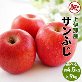【ふるさと納税】訳あり りんご サンふじ 4.5kg 果物 フルーツ 信州 長野 駒ヶ根市　お届け：2026年11月上旬～12月下旬