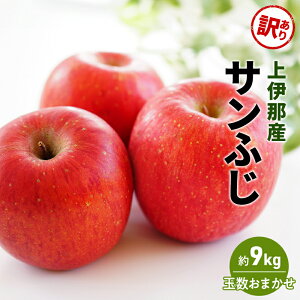 yӂ邳Ɣ[Łz󂠂 Tӂ9kg(ʐ܂)@͂F2025N11{`12{܂