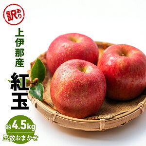 yӂ邳Ɣ[Łz󂠂 g4.5kg(ʐ܂)@͂F2025N9{`10{܂
