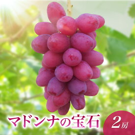 【ふるさと納税】2026年産マドンナの宝石 2房　果物 ぶどう 葡萄 マスカット フルーツ 長野県 駒ケ根市　お届け：2026年9月中旬～10月中旬