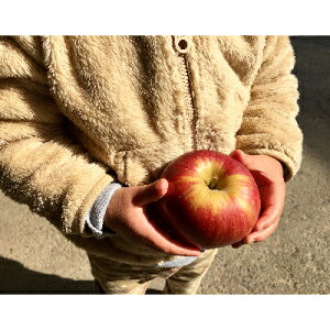 �y�ӂ邳�Ɣ[�Łz�q�M�B����܂��邵�_���r�炲�Ƃ܂邩����!���т������n�ӂ��ƒ�p��10kg�y1210377�z