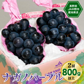 【ふるさと納税】【2026年先行予約】　8月中旬～9月中旬お届けJA中野市産地直送!ナガノパープル2房800g以上_ ぶどう 葡萄 ナガノパープル 果物 くだもの フルーツ 長野 産地直送 人気 おすすめ 送料無料 お取り寄せ 【配送不可地域：離島】【1218973】