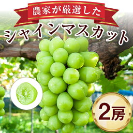 【ふるさと納税】農家が厳選したシャインマスカット2房詰め合わせ_ 1.3kg 以上 フルーツ 果物 旬 ギフト プレゼント 贈り物 送料無料 【配送不可地域：離島】【1236691】